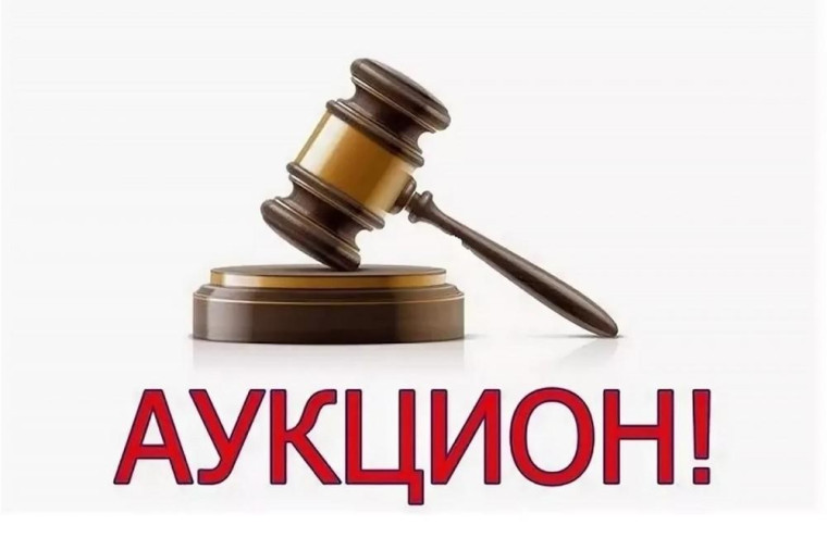 о проведении аукционов в электронном виде на право заключения договора аренды лесного участка, находящегося в государственной собственности.