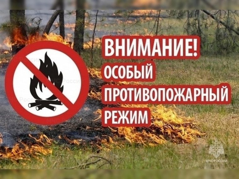 В лесах Кировской области установлен особый противопожарный режим.