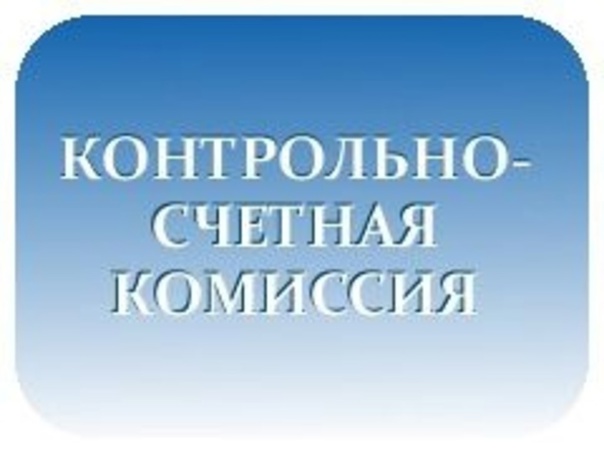 Информация о результатах контрольного мероприятия «Проверка законности и эффективности использования бюджетных средств, направленных на организацию дополнительного образования, в 2022 -2023 годах и истекшем периоде 2024 года».