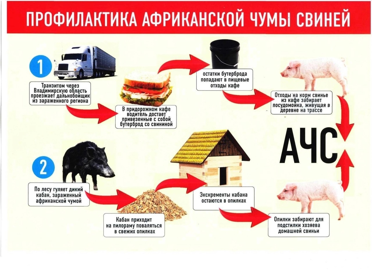 Уржумский район - Главная страница