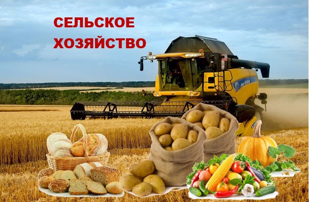 О ходе весенне–полевых работ в  Уржумском муниципальном районе на 25.04.2024 года.