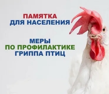 Государственная ветеринарная служба Уржумского района информирует.