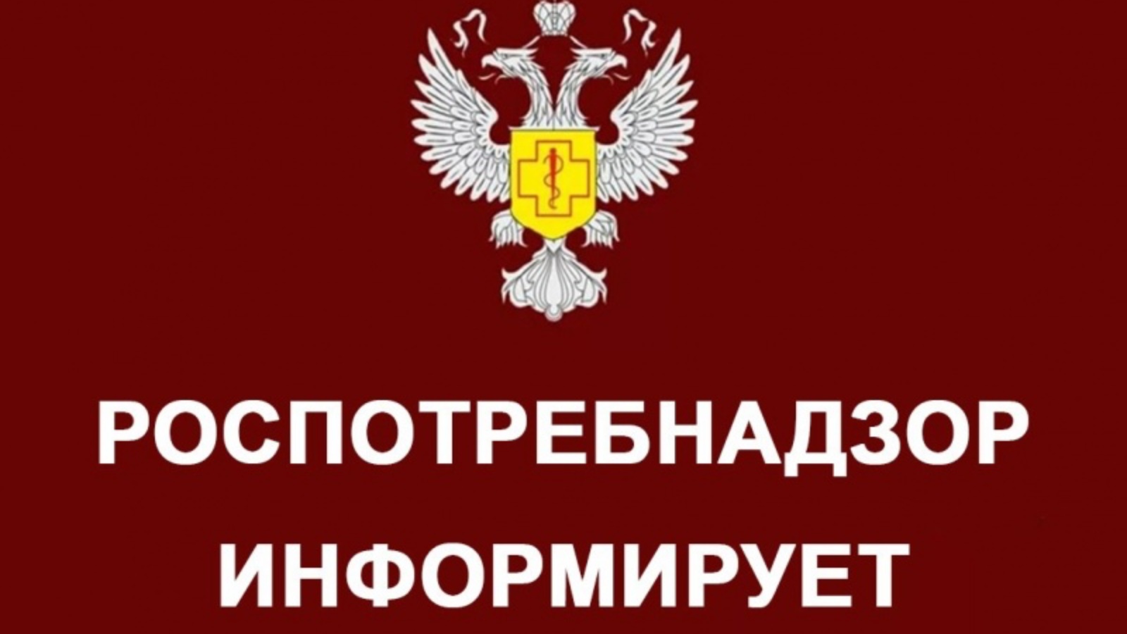 «Горячая линия» по вопросам детского отдыха, качества и безопасности детских товаров.